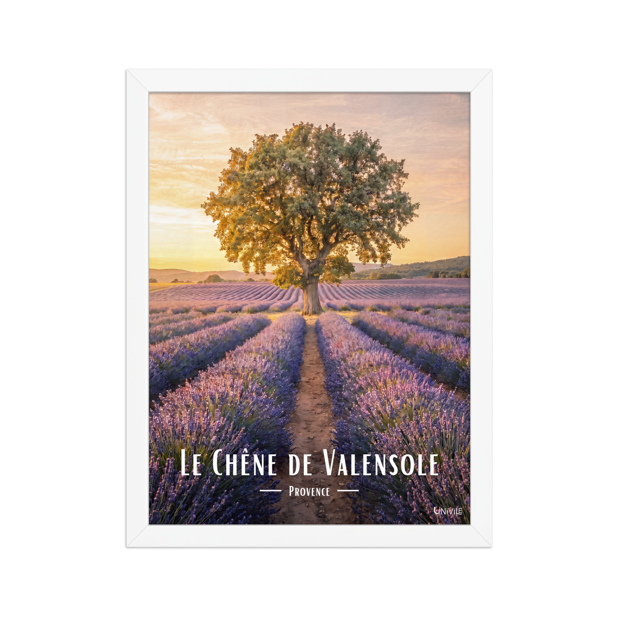 Affiche de Provence Le Chêne de Valensole 30 × 40 cm / Blanc - Univile Provence