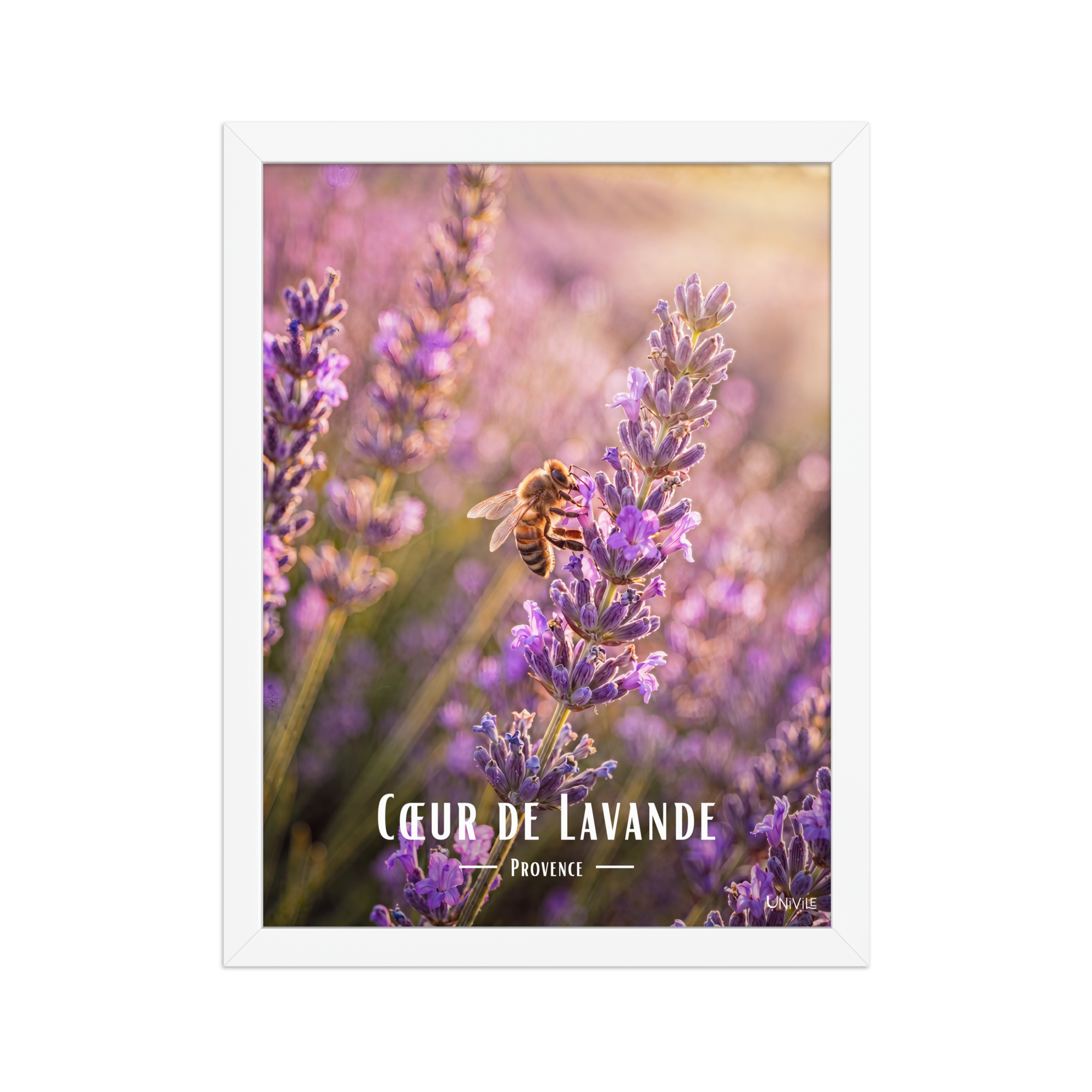 Affiche de Provence Cœur de Lavande 30 × 40 cm / Blanc - Univile Provence