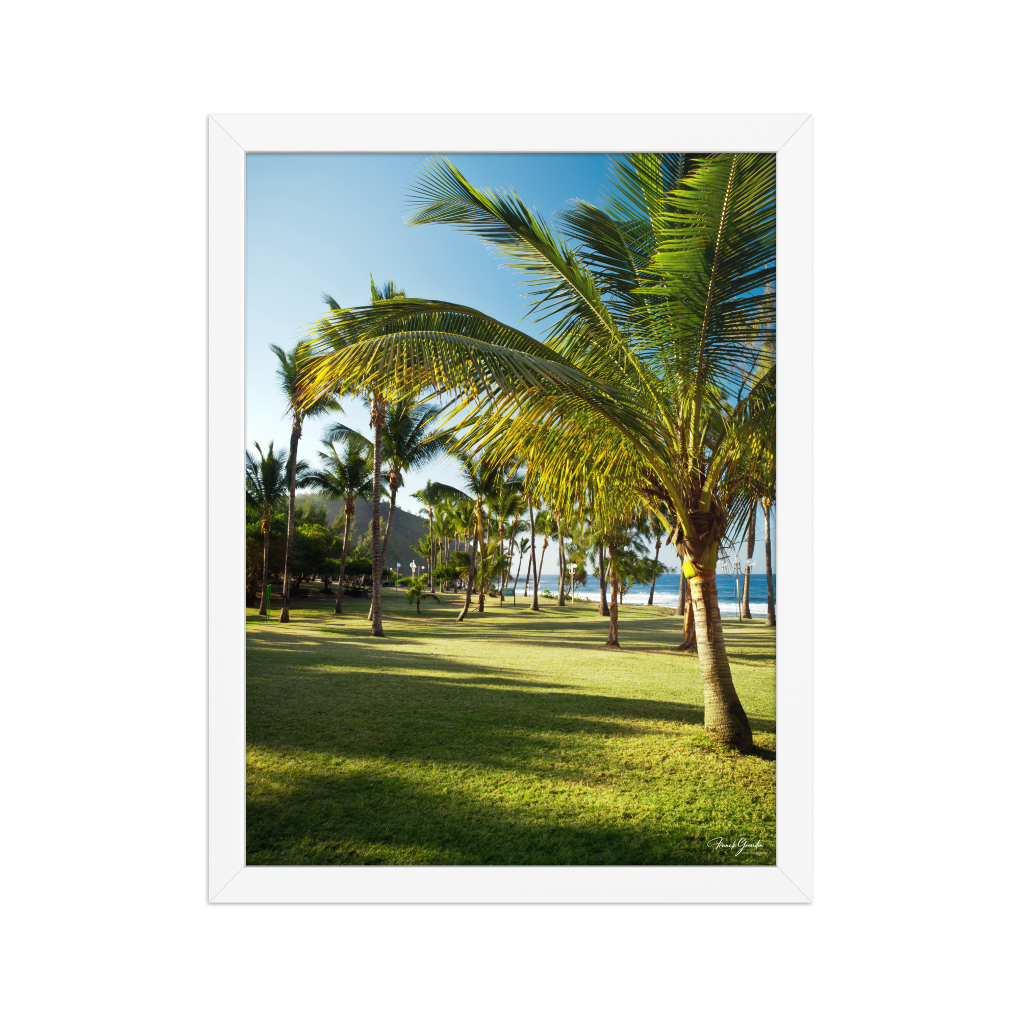Affiche de La Réunion Palmier de Grande Anse 30 × 40 cm / Blanc - photographie Franck Grondin