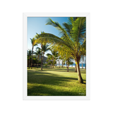 Affiche de La Réunion Palmier de Grande Anse 30 × 40 cm / Blanc - photographie Franck Grondin
