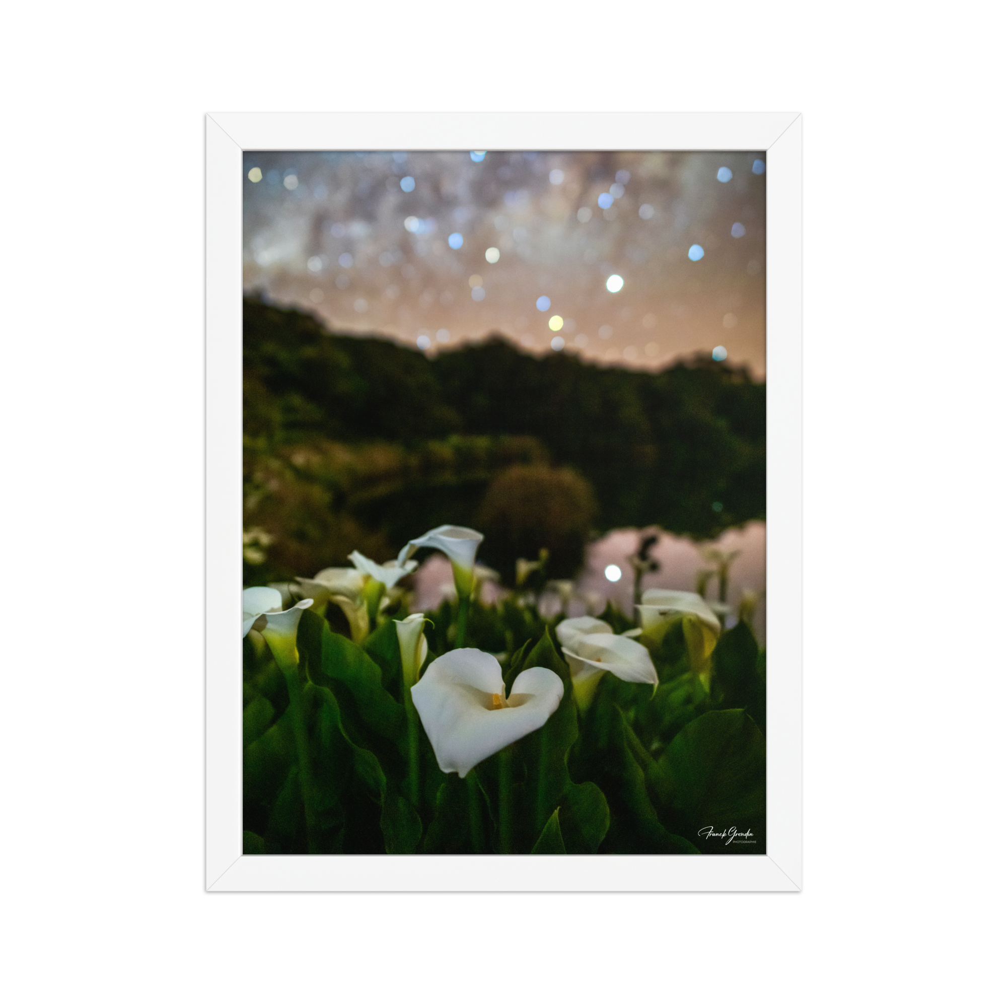 Affiche de La Réunion Arums du Piton de l'Eau 30 × 40 cm / Blanc - photographie Franck Grondin