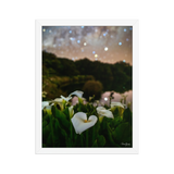 Affiche de La Réunion Arums du Piton de l'Eau 30 × 40 cm / Blanc - photographie Franck Grondin