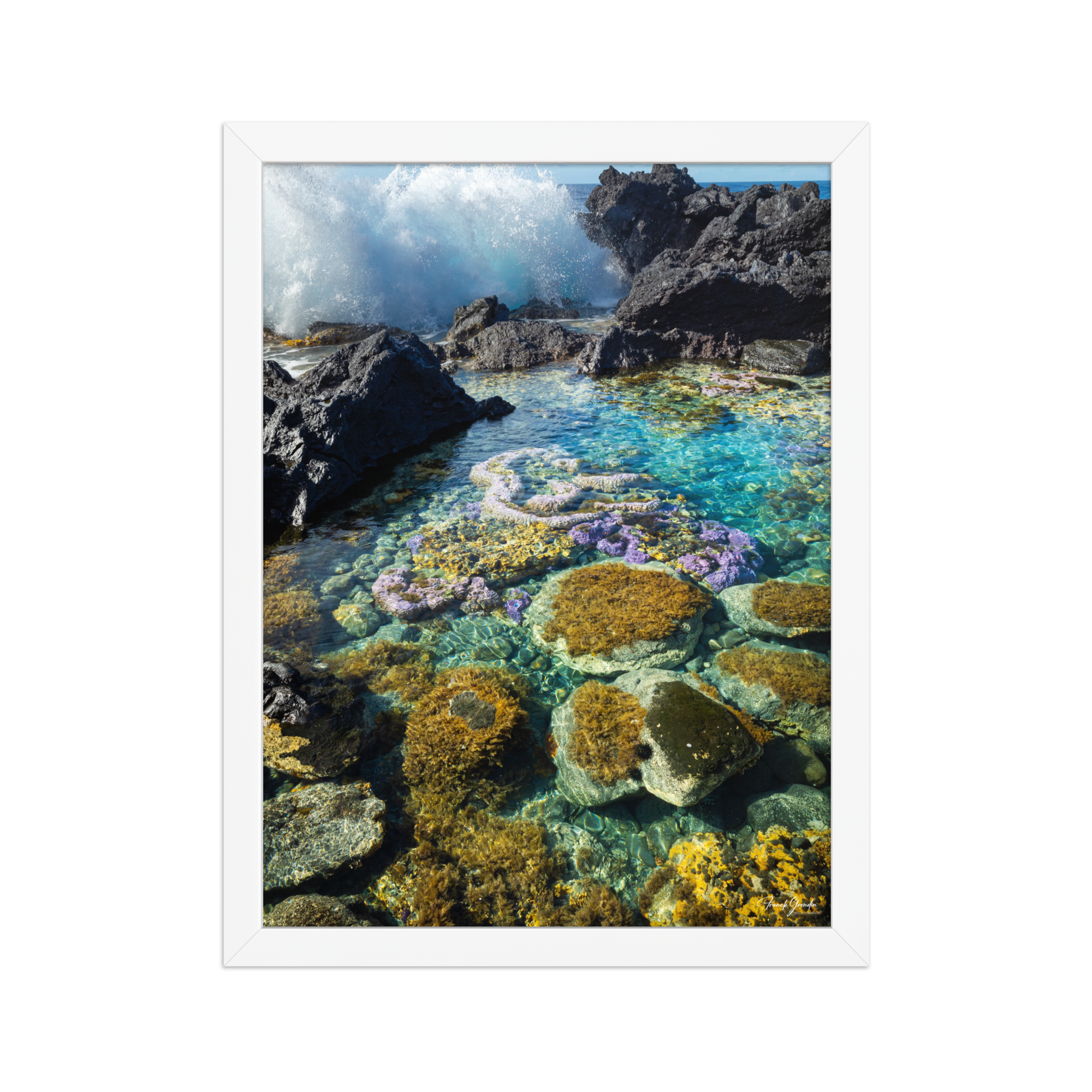 Affiche de La Réunion Coraux de Langevin 30 × 40 cm / Blanc - photographie Franck Grondin