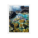 Affiche de La Réunion Coraux de Langevin 30 × 40 cm / Blanc - photographie Franck Grondin