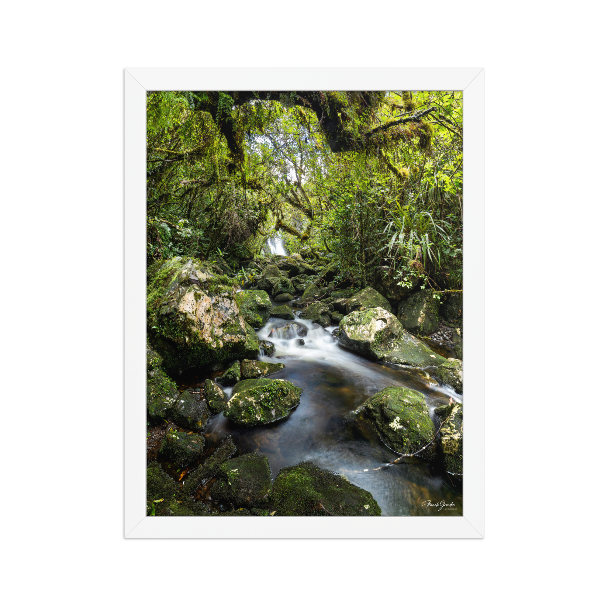 Affiche de La Réunion Forêt du Bras des Lianes 30 × 40 cm / Blanc - photographie Franck Grondin