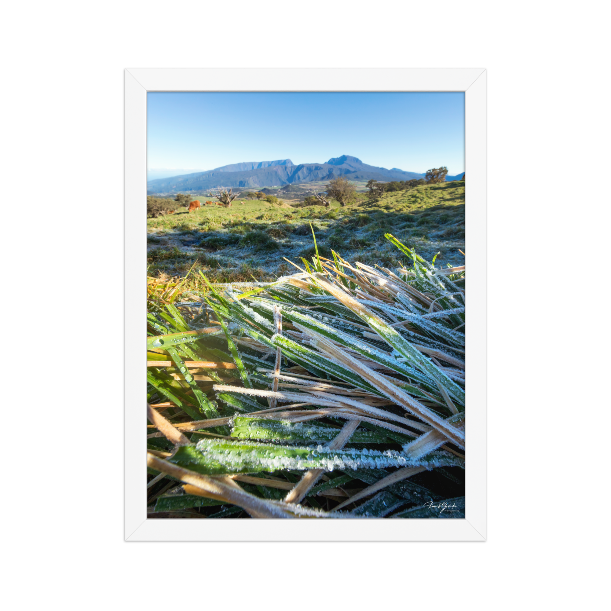 Affiche de La Réunion Givre sur les Hauts du Volcan 30 × 40 cm / Blanc - photographie Franck Grondin