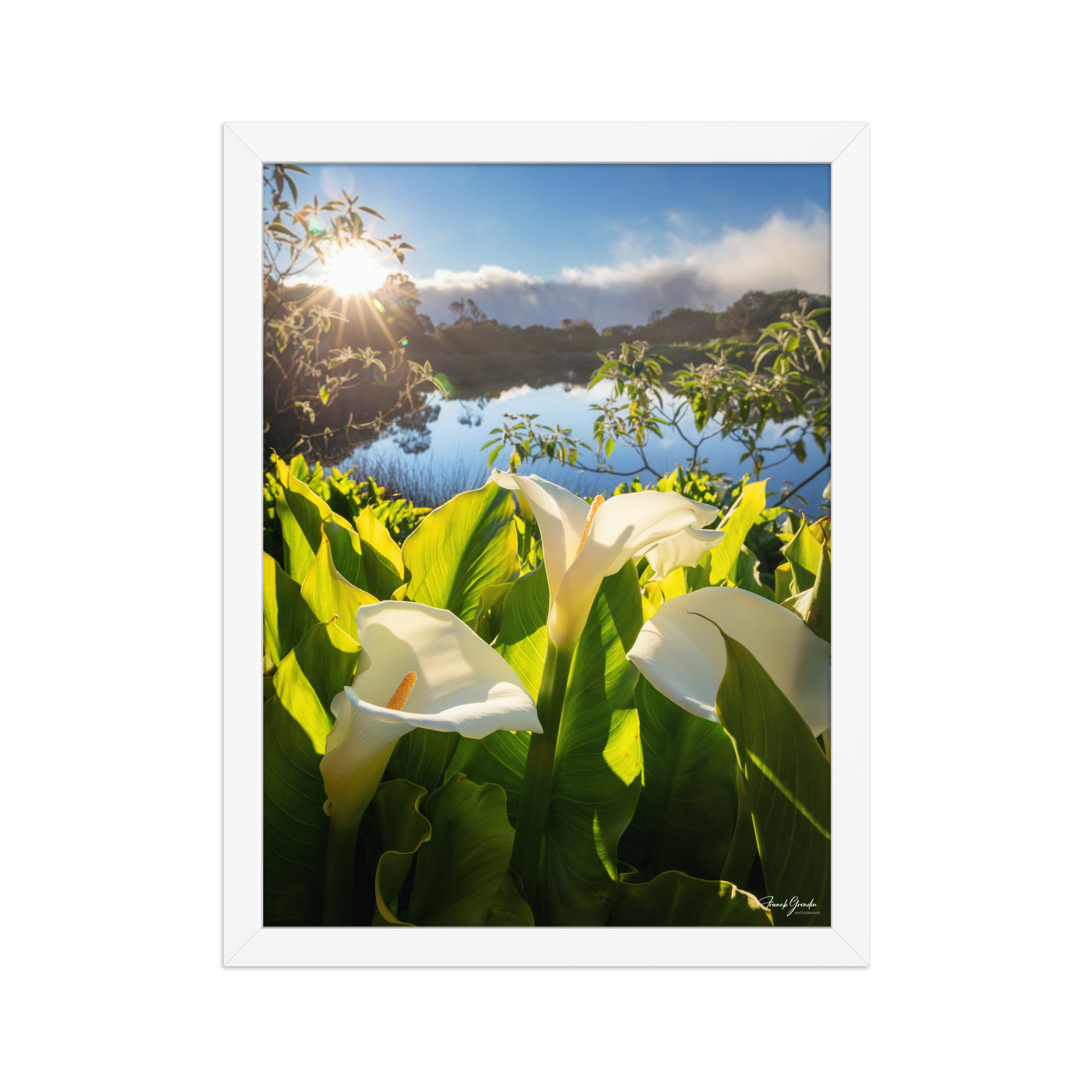 Affiche de La Réunion Arums du Piton de l'Eau au Crépuscule 30 × 40 cm / Blanc - photographie Franck Grondin