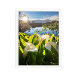 Affiche de La Réunion Arums du Piton de l'Eau au Crépuscule 30 × 40 cm / Blanc - photographie Franck Grondin
