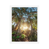 Affiche de La Réunion Forêt de Vacoas 30 × 40 cm / Blanc - photographie Franck Grondin