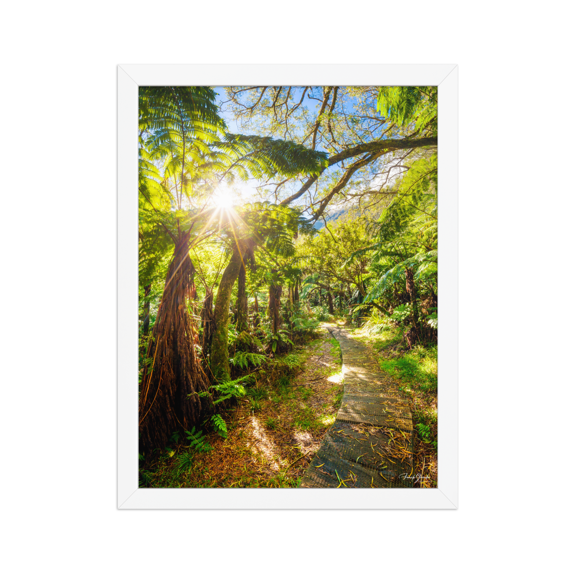Affiche de La Réunion Le Chemin du Trou de Fer 30 × 40 cm / Blanc - photographie Franck Grondin