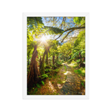 Affiche de La Réunion Le Chemin du Trou de Fer 30 × 40 cm / Blanc - photographie Franck Grondin