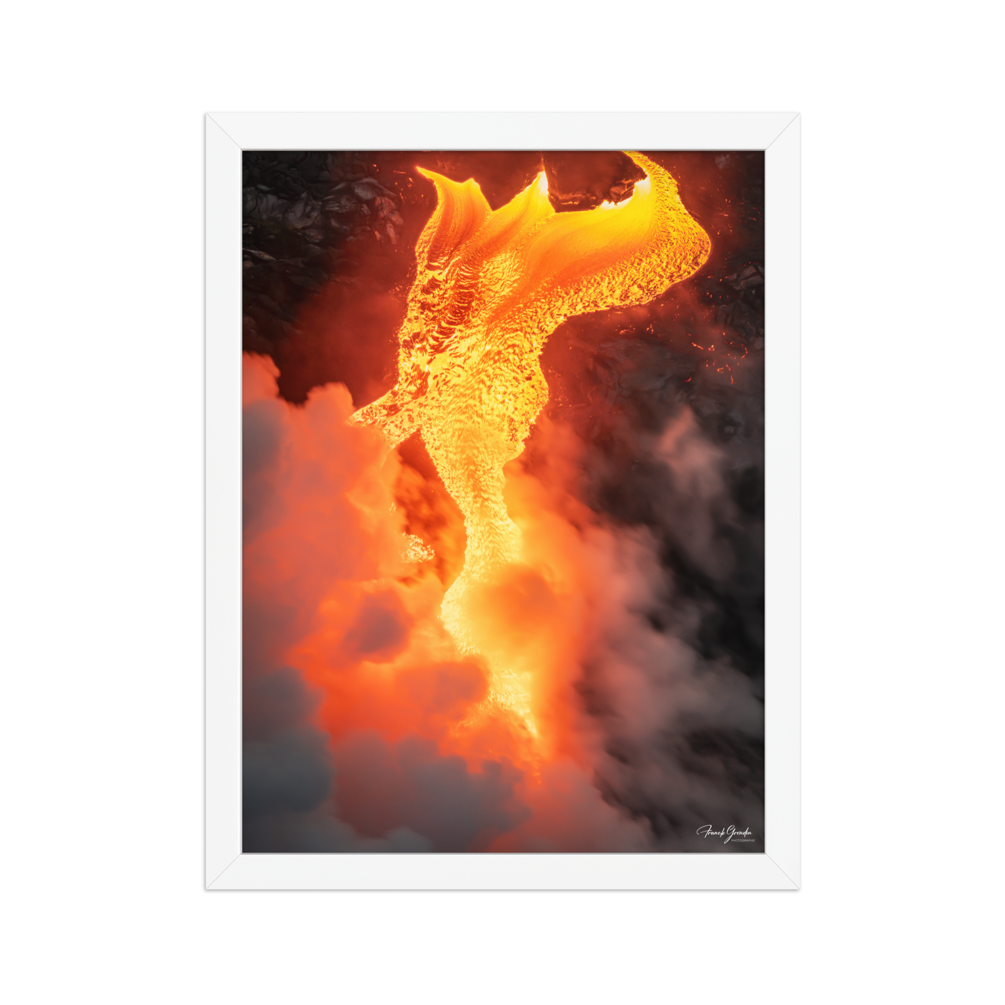 Affiche de La Réunion Robe de Feu, Février 2026 30 × 40 cm / Blanc - photographie Franck Grondin