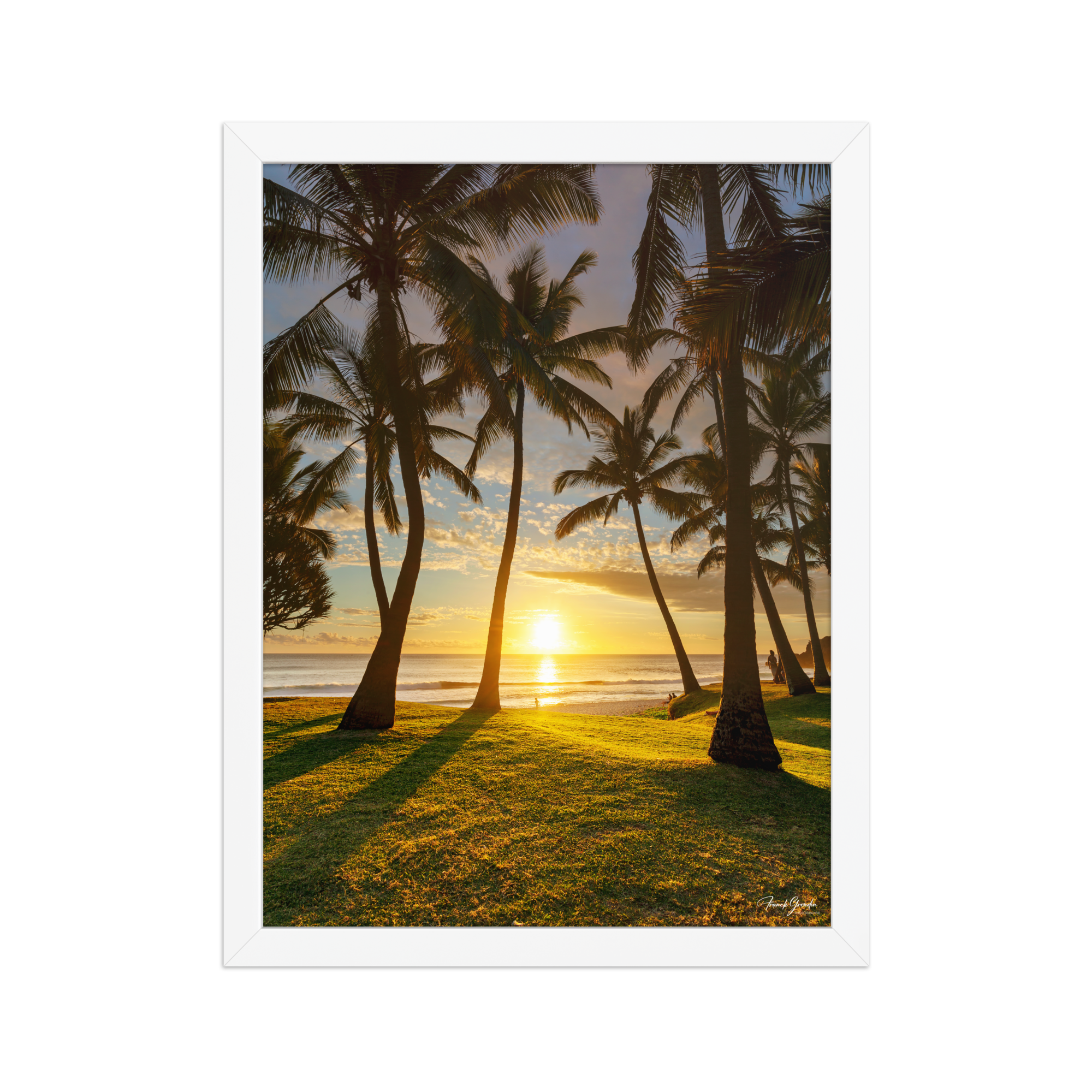 Affiche de La Réunion Cocotiers de Grande Anse 30 × 40 cm / Blanc - photographie Franck Grondin