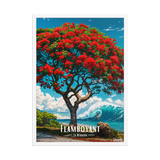 Affiche de La Réunion Flamboyant du Lagon 50 × 70 cm / Blanc - Univile La Réunion