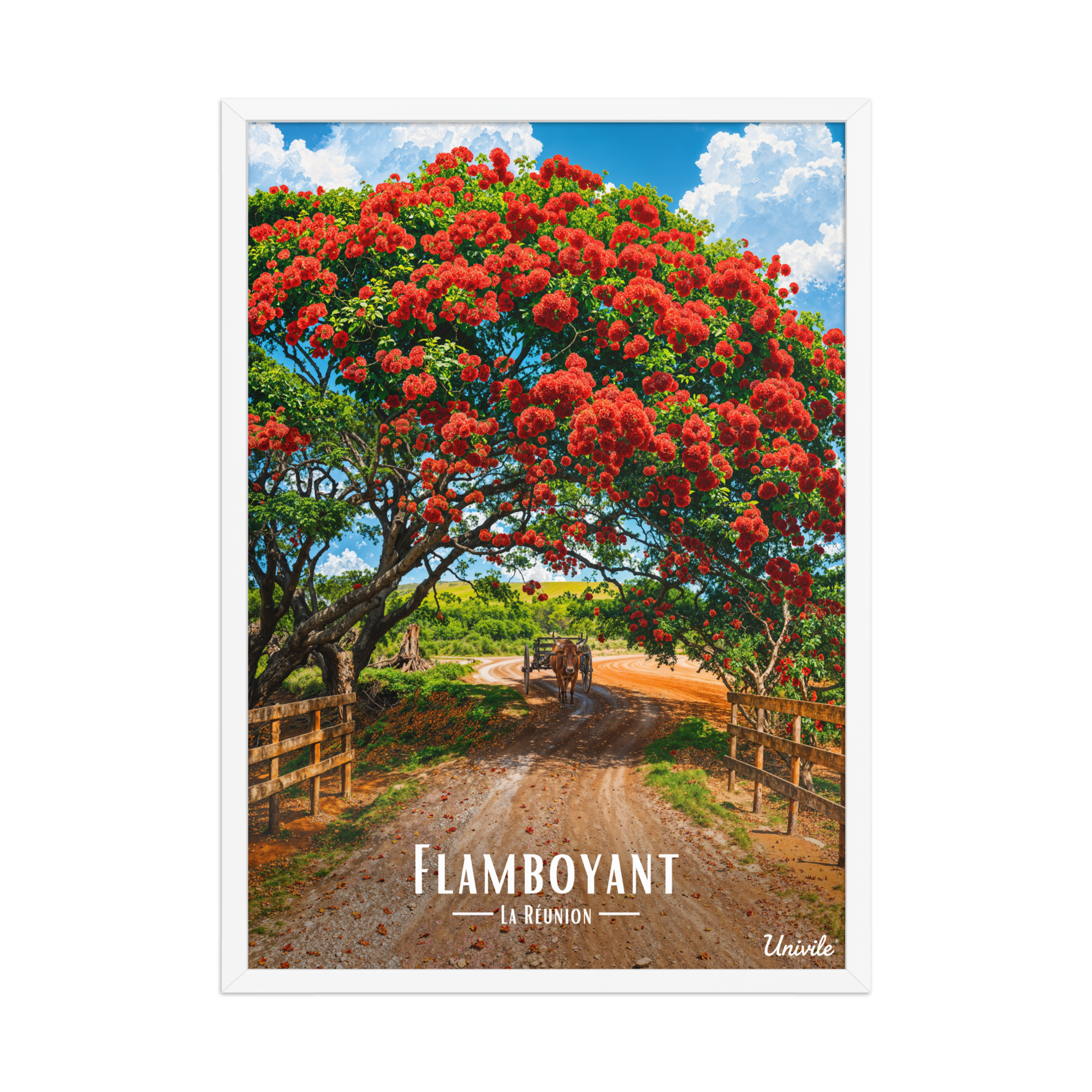 Affiche de la Réunion Flamboyant des champs 50 × 70 cm / Blanc - Univile