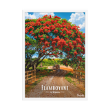 Affiche de la Réunion Flamboyant des champs 50 × 70 cm / Blanc - Univile