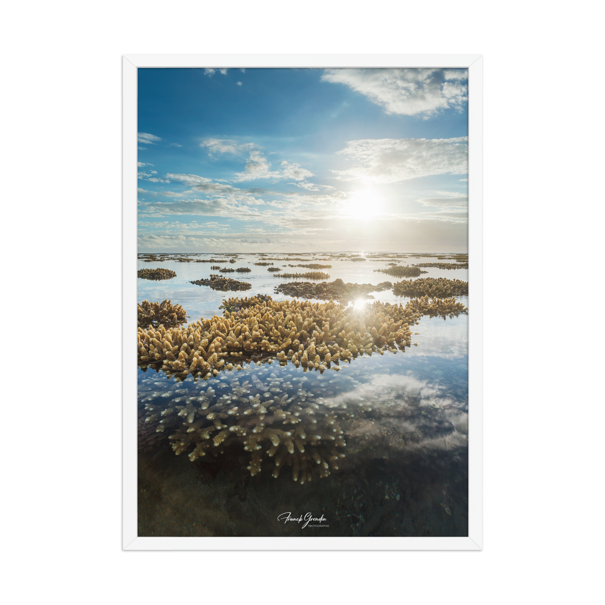 Affiche de La Réunion Le Récif 50 × 70 cm / Blanc - Univile La Réunion