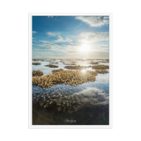 Affiche de La Réunion Le Récif 50 × 70 cm / Blanc - Univile La Réunion