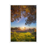 Affiche de La Réunion Sunset Kiosque Maïdo 50×70 cm / Blanc - Univile La Réunion