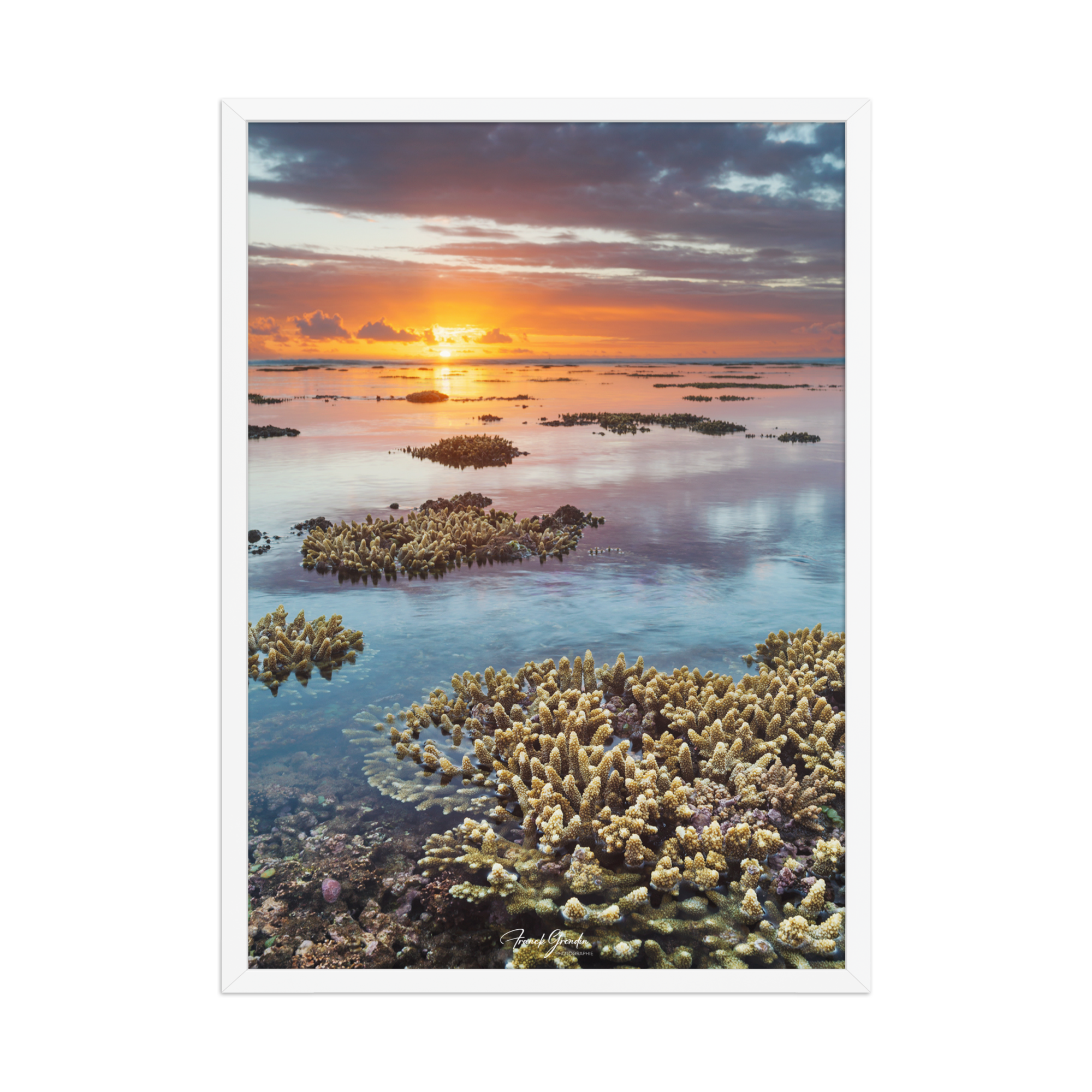 Affiche de La Réunion Sunset du récif 50 × 70 cm / Blanc - Univile La Réunion