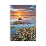 Affiche de La Réunion Sunset du récif 50 × 70 cm / Blanc - Univile La Réunion