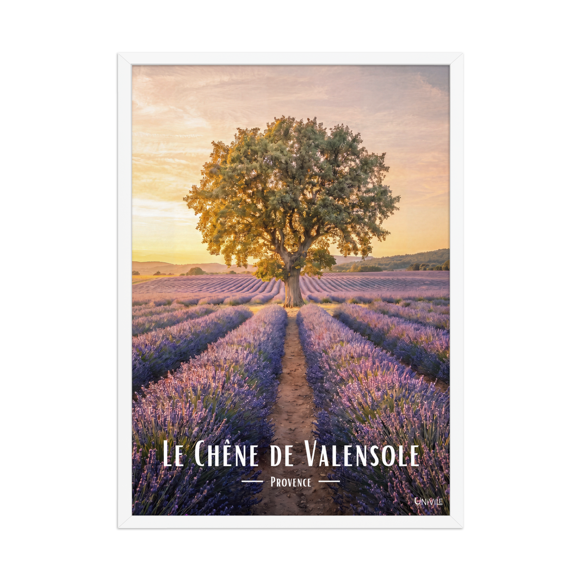 Affiche de Provence Le Chêne de Valensole 50 × 70 cm / Blanc - Univile Provence