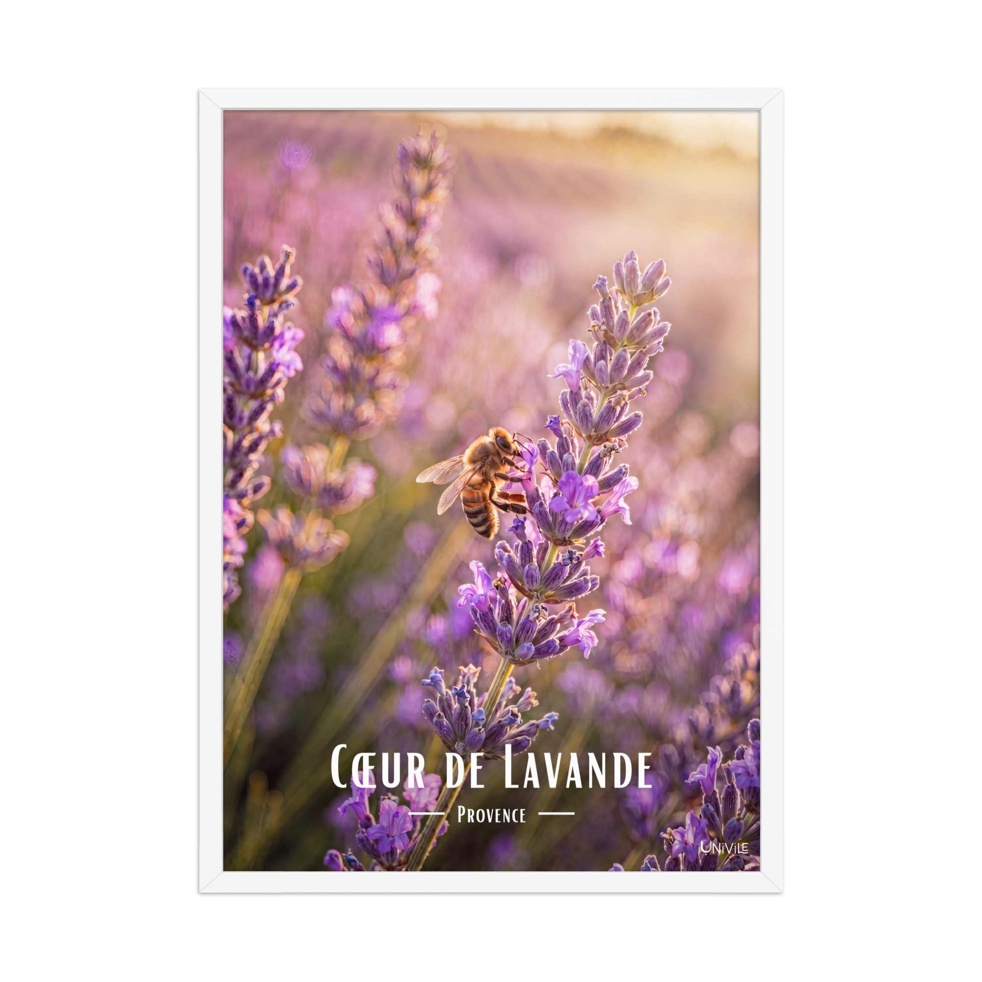 Affiche de Provence Cœur de Lavande 50 × 70 cm / Blanc - Univile Provence