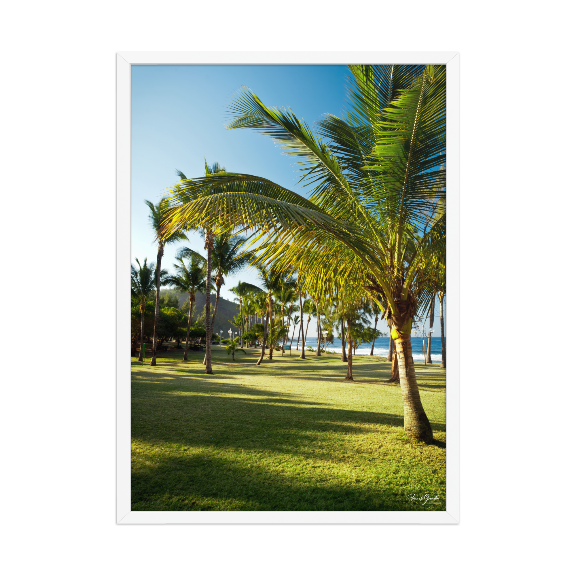 Affiche de La Réunion Palmier de Grande Anse 50 × 70 cm / Blanc - photographie Franck Grondin