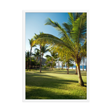 Affiche de La Réunion Palmier de Grande Anse 50 × 70 cm / Blanc - photographie Franck Grondin