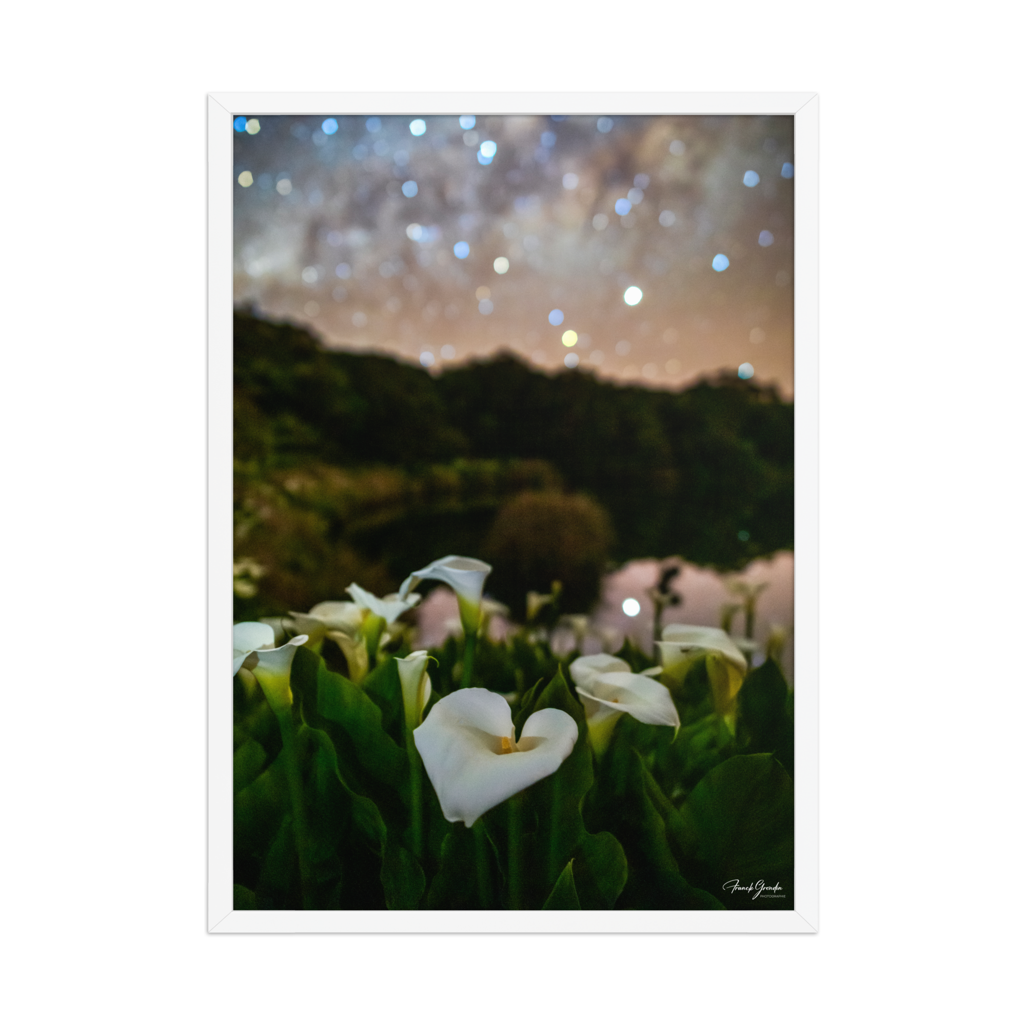 Affiche de La Réunion Arums du Piton de l'Eau 50 × 70 cm / Blanc - photographie Franck Grondin