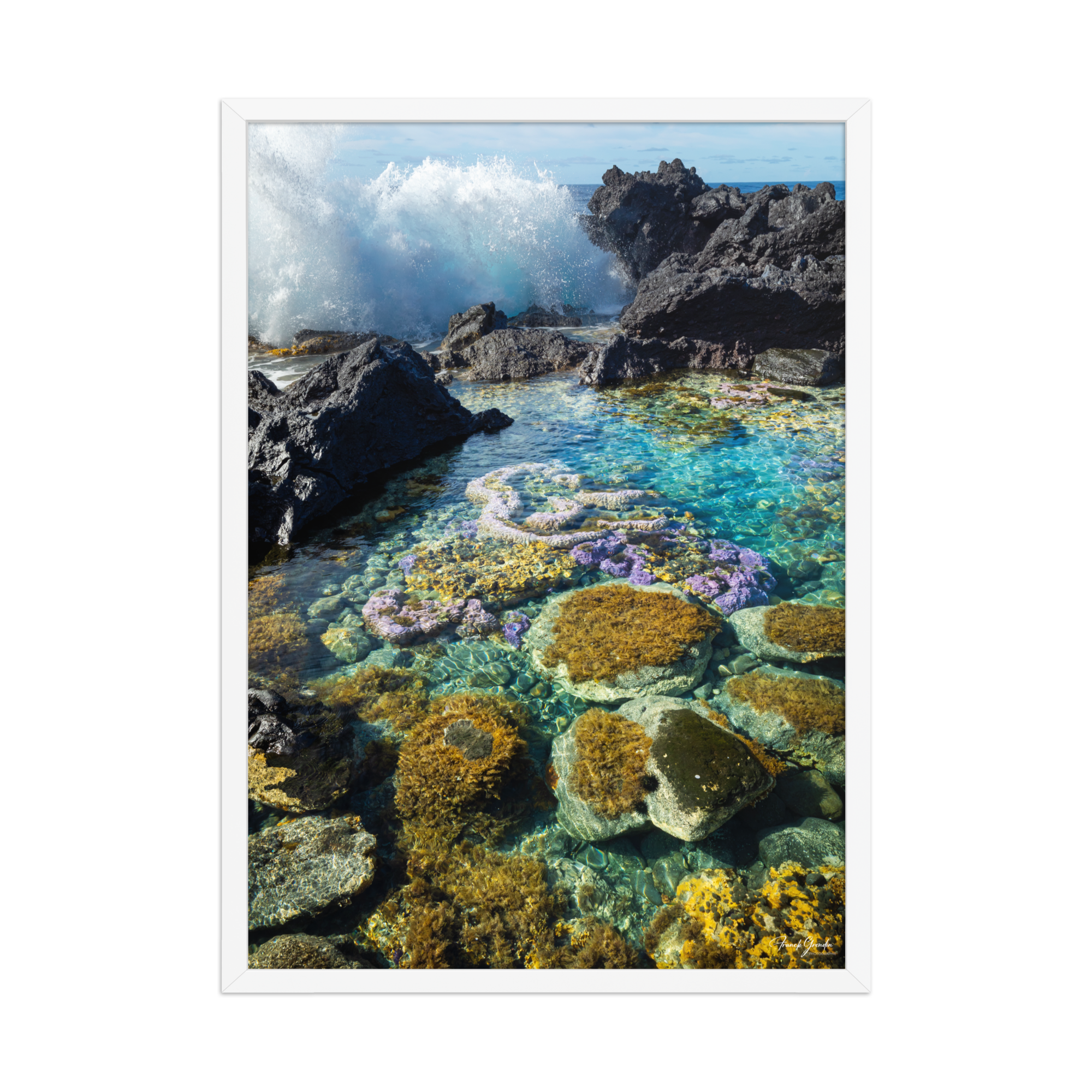 Affiche de La Réunion Coraux de Langevin 50 × 70 cm / Blanc - photographie Franck Grondin