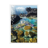 Affiche de La Réunion Coraux de Langevin 50 × 70 cm / Blanc - photographie Franck Grondin