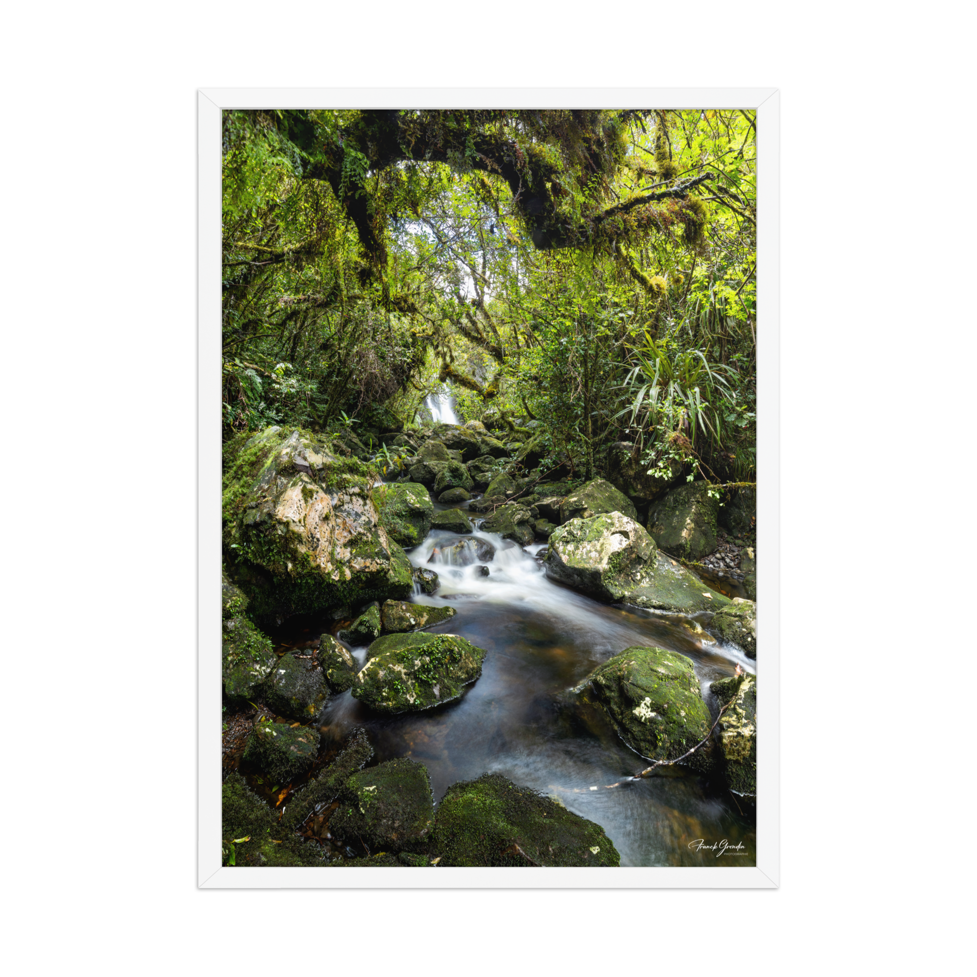 Affiche de La Réunion Forêt du Bras des Lianes 50 × 70 cm / Blanc - photographie Franck Grondin