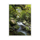 Affiche de La Réunion Forêt du Bras des Lianes 50 × 70 cm / Blanc - photographie Franck Grondin