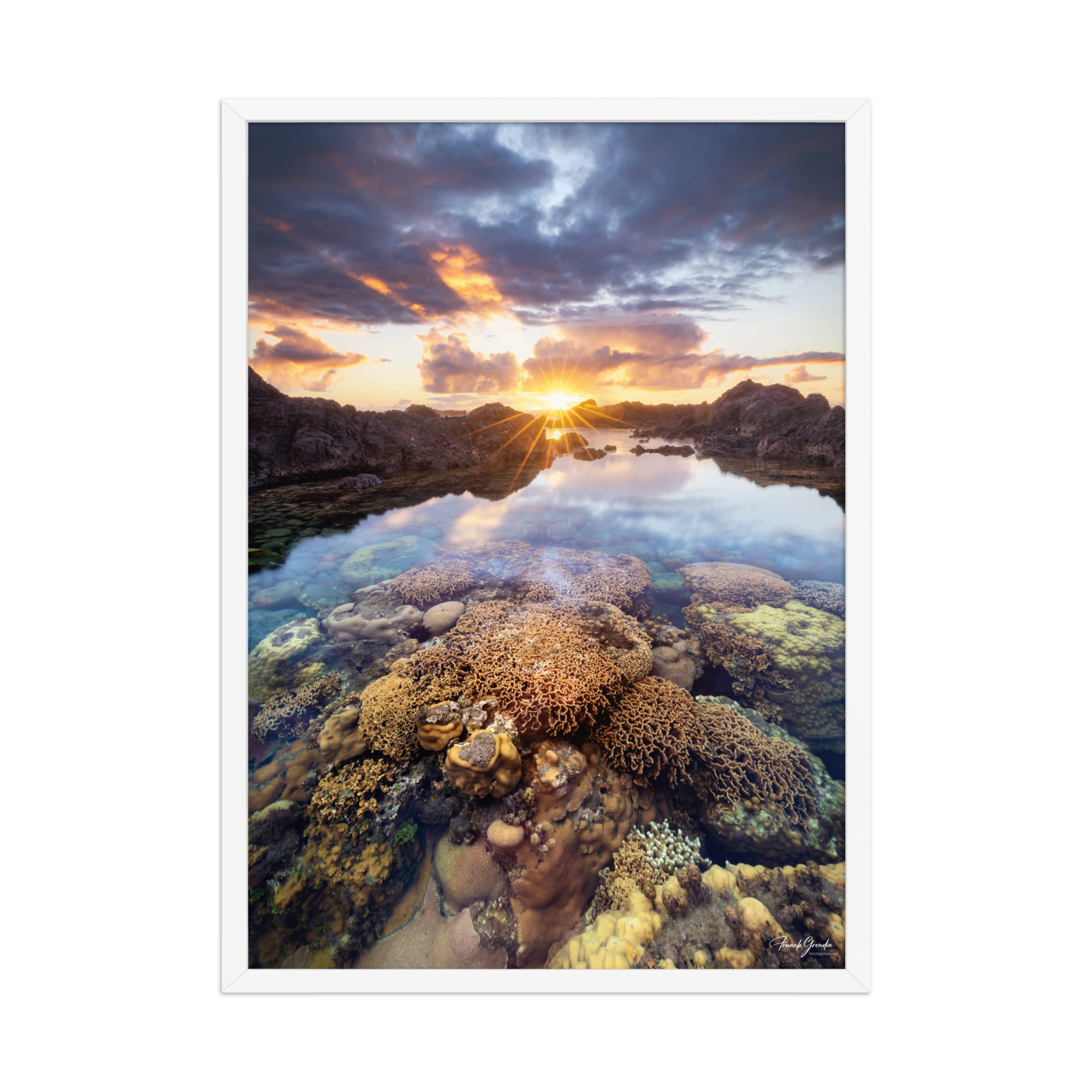 Affiche de La Réunion Coraux de la Souris Blanche 50 × 70 cm / Blanc - photographie Franck Grondin