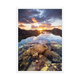 Affiche de La Réunion Coraux de la Souris Blanche 50 × 70 cm / Blanc - photographie Franck Grondin