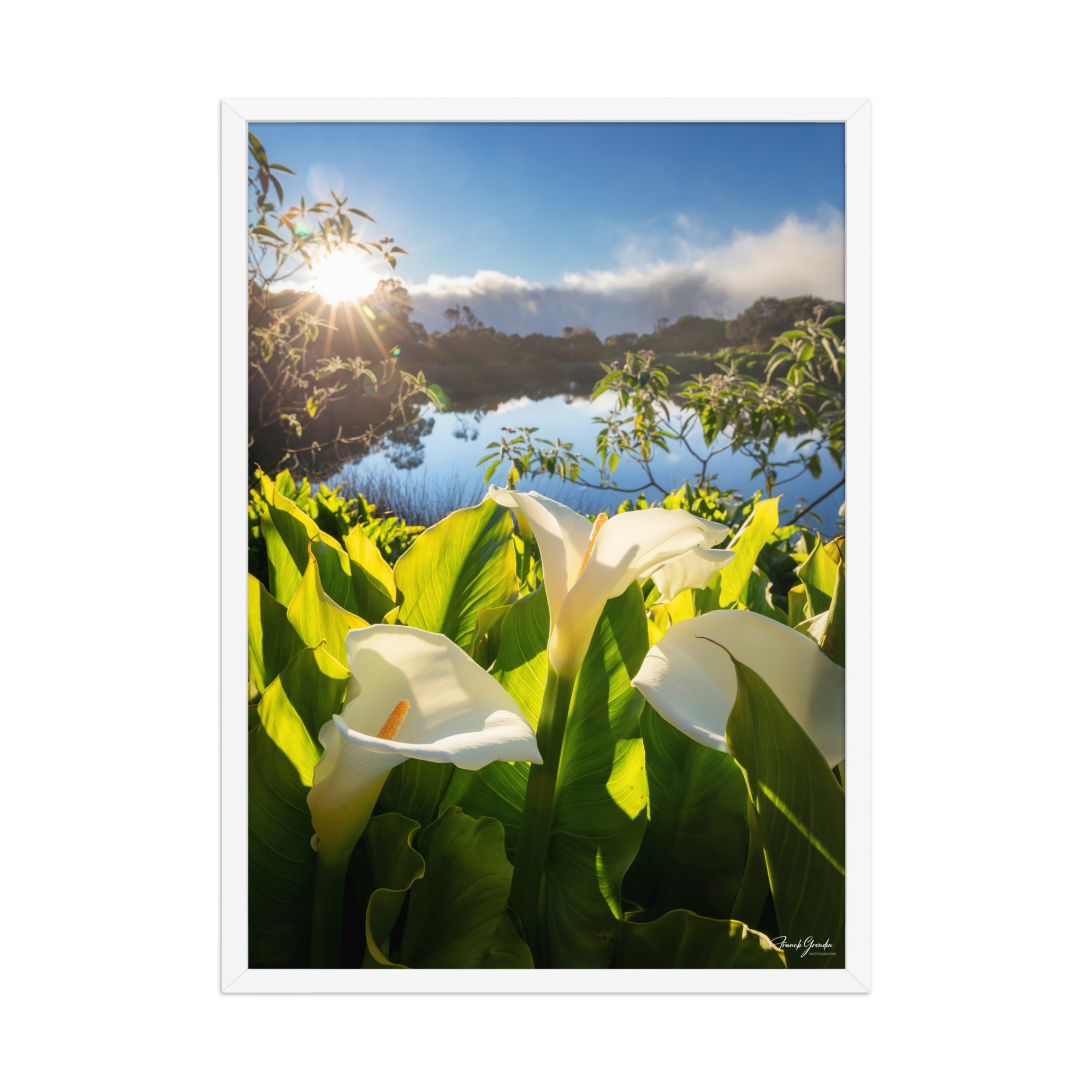 Affiche de La Réunion Arums du Piton de l'Eau au Crépuscule 50 × 70 cm / Blanc - photographie Franck Grondin