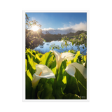 Affiche de La Réunion Arums du Piton de l'Eau au Crépuscule 50 × 70 cm / Blanc - photographie Franck Grondin