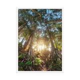 Affiche de La Réunion Forêt de Vacoas 50 × 70 cm / Blanc - photographie Franck Grondin