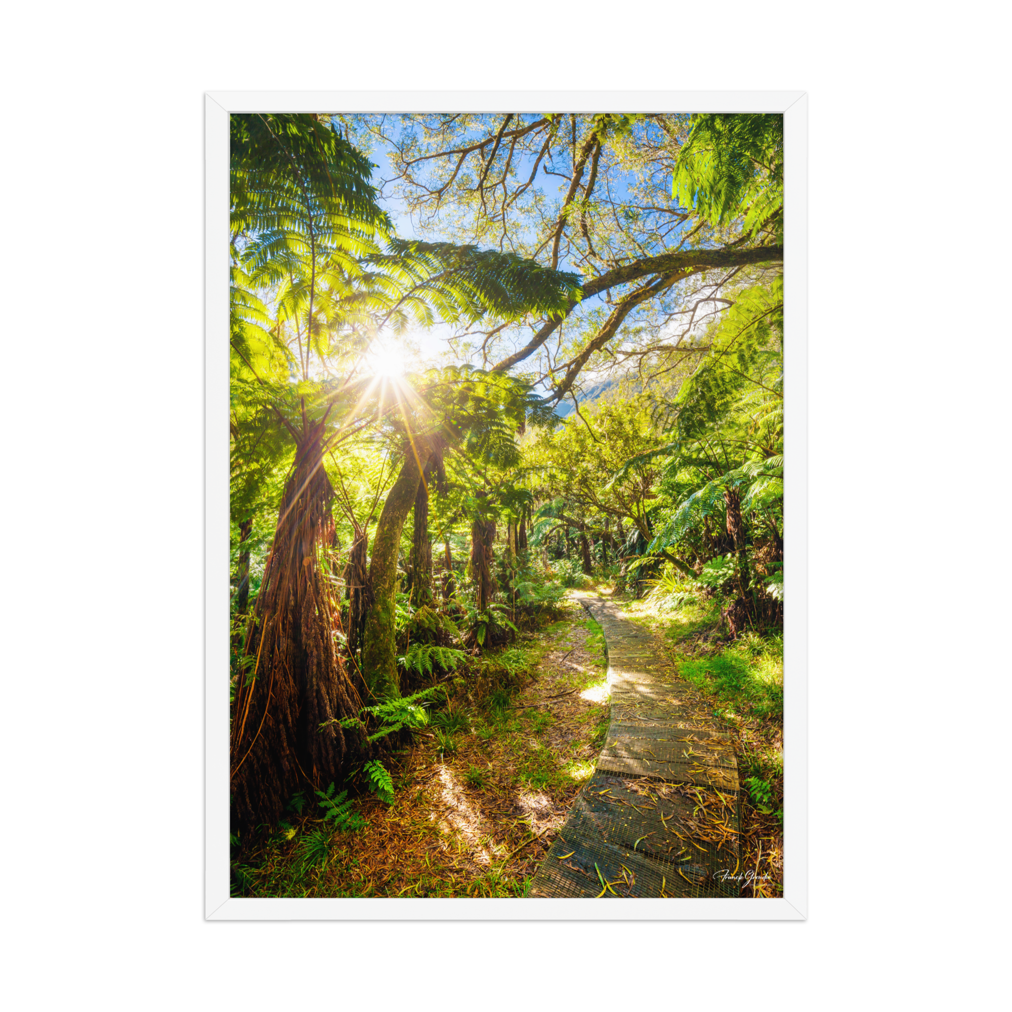 Affiche de La Réunion Le Chemin du Trou de Fer 50 × 70 cm / Blanc - photographie Franck Grondin