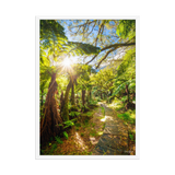 Affiche de La Réunion Le Chemin du Trou de Fer 50 × 70 cm / Blanc - photographie Franck Grondin