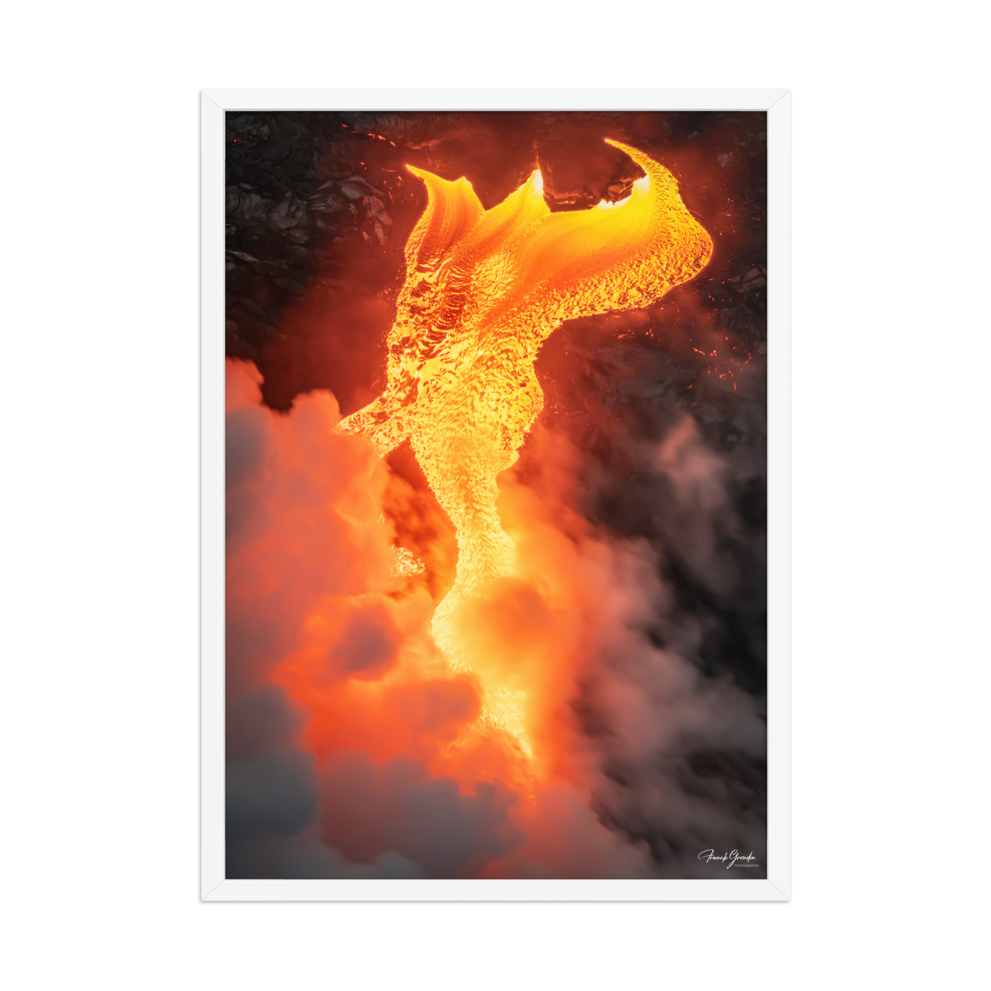Affiche de La Réunion Robe de Feu, Février 2026 50 × 70 cm / Blanc - photographie Franck Grondin