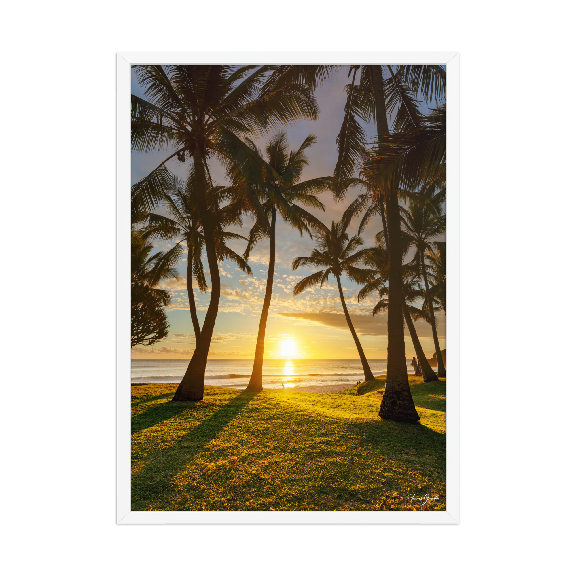 Affiche de La Réunion Cocotiers de Grande Anse 50 × 70 cm / Blanc - photographie Franck Grondin