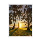 Affiche de La Réunion Cocotiers de Grande Anse 50 × 70 cm / Blanc - photographie Franck Grondin