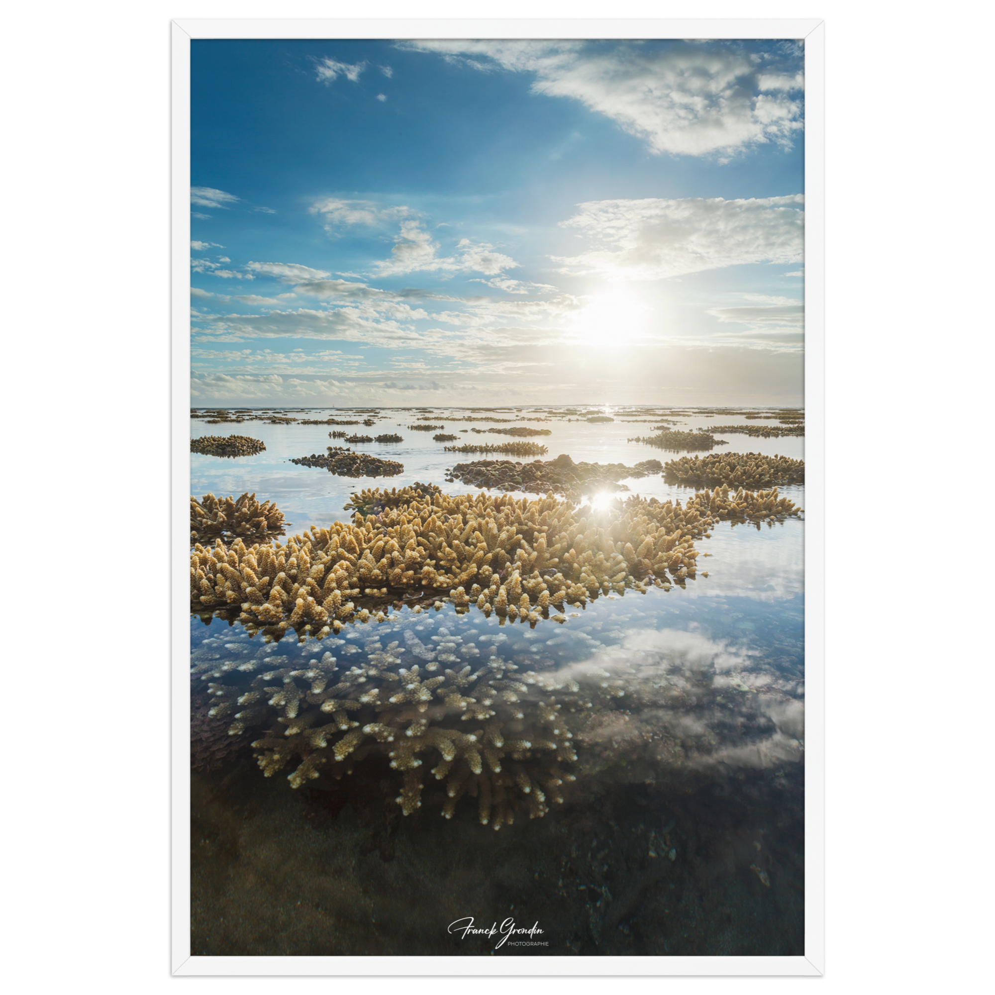 Affiche de La Réunion Le Récif 61 × 91 cm / Blanc - Univile La Réunion