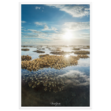 Affiche de La Réunion Le Récif 61 × 91 cm / Blanc - Univile La Réunion