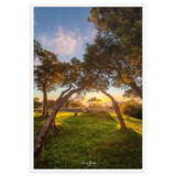 Affiche de La Réunion Kiosque Maïdo sunset 61 × 91 cm / Blanc - Univile La Réunion