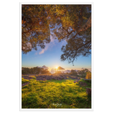 Affiche de La Réunion Sunset Kiosque Maïdo 61×91 cm / Blanc - Univile La Réunion