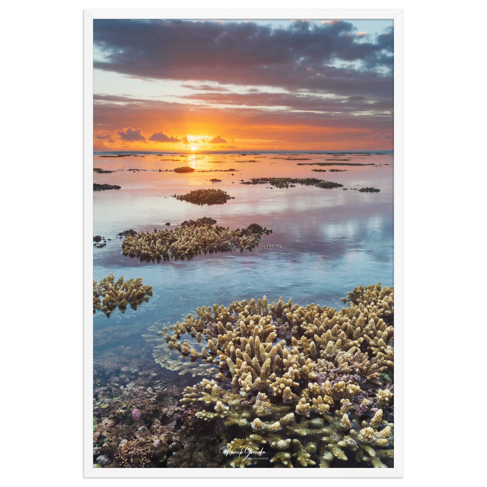 Affiche de La Réunion Sunset du récif 61 × 91 cm / Blanc - Univile La Réunion