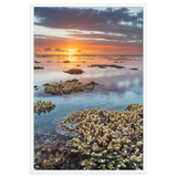 Affiche de La Réunion Sunset du récif 61 × 91 cm / Blanc - Univile La Réunion